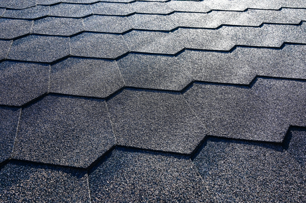 Shingles » Trusted Roofing Contractor in Central Florida » Redfish Roofing Florida » RedfishRoofingFL.com